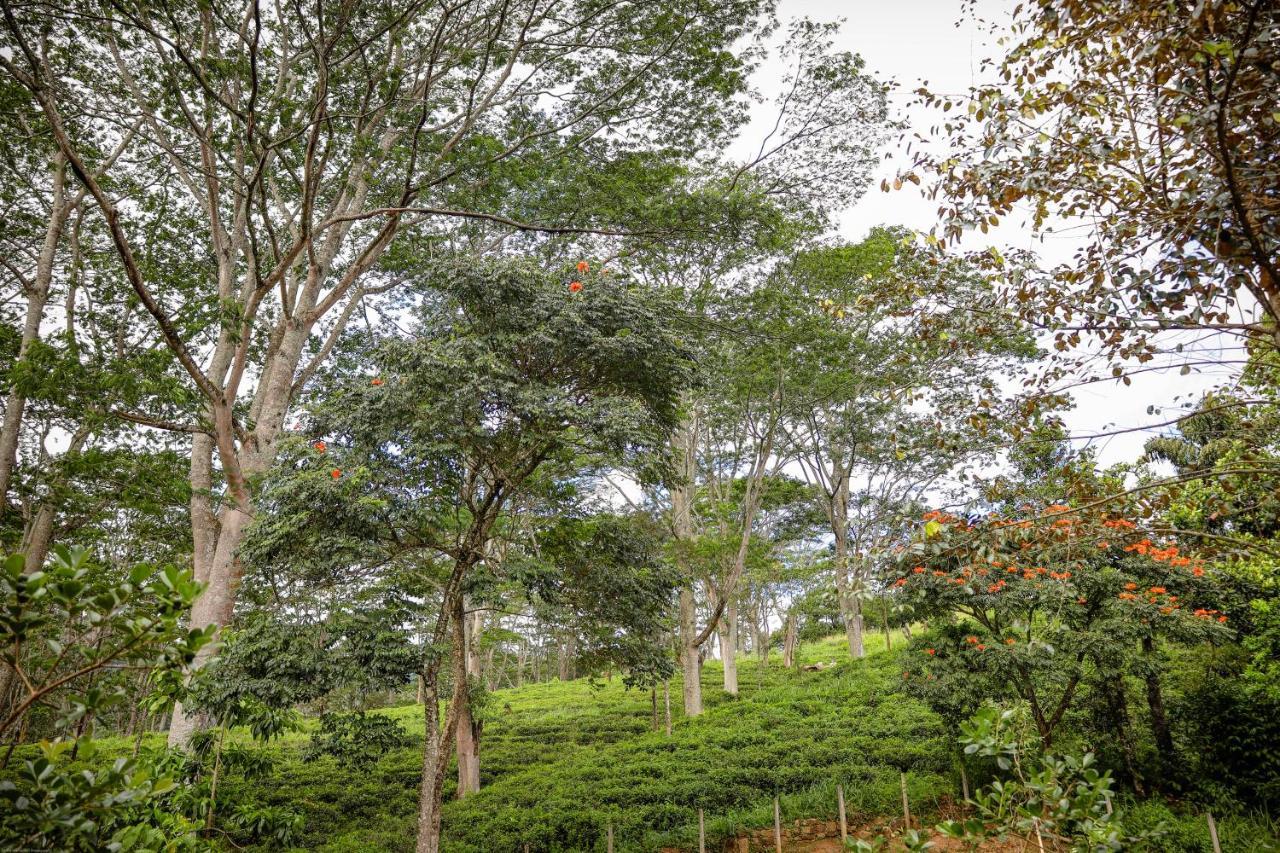 Hotel Tranquilisle Kandy Esterno foto